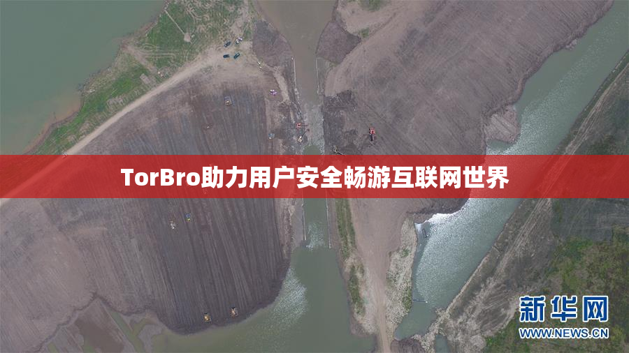 TorBro助力用户安全畅游互联网世界