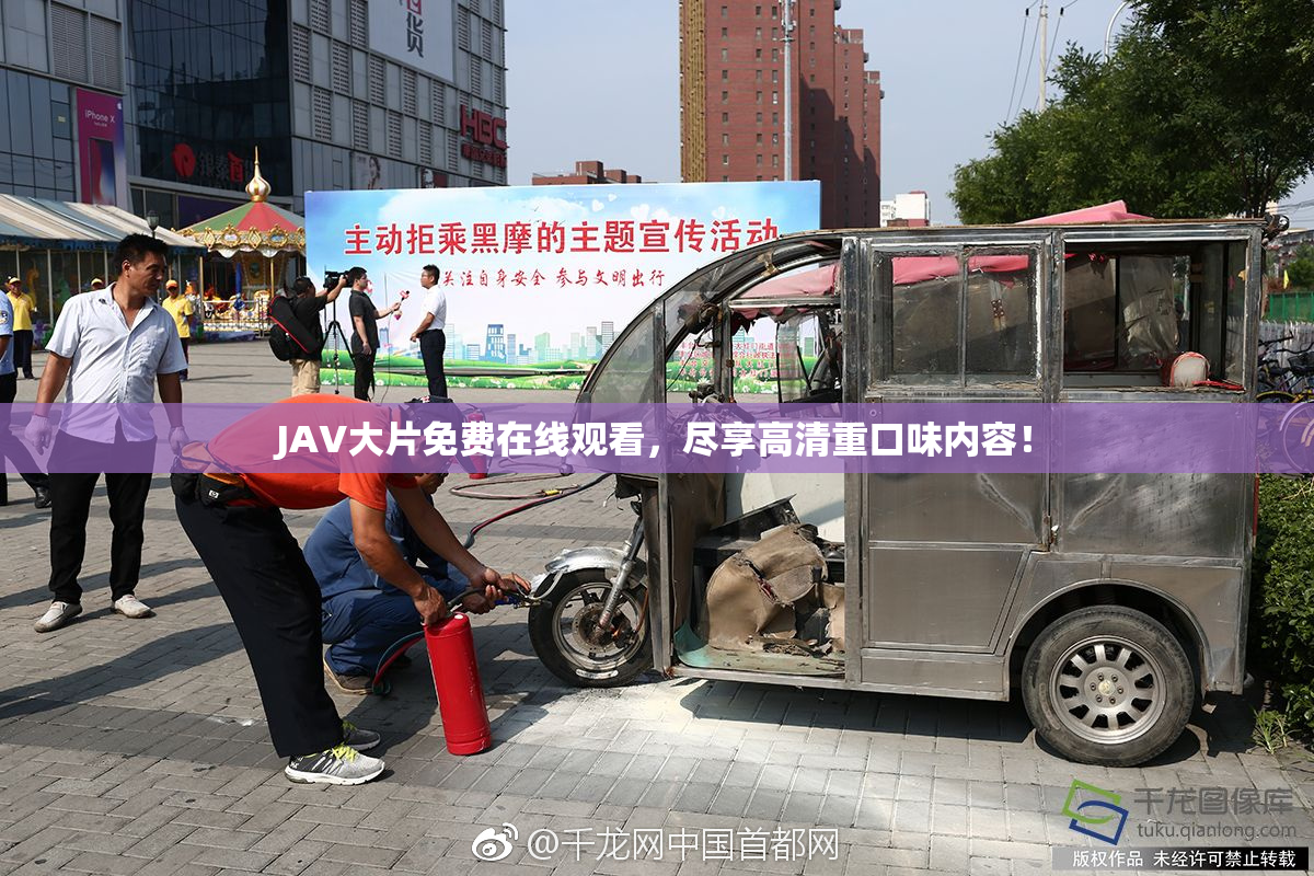 JAV大片免费在线观看，尽享高清重口味内容！