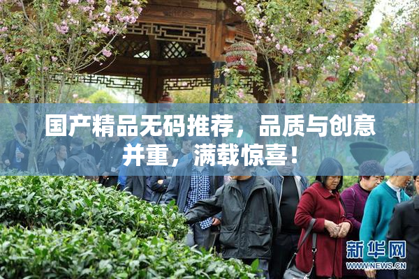 国产精品无码推荐，品质与创意并重，满载惊喜！