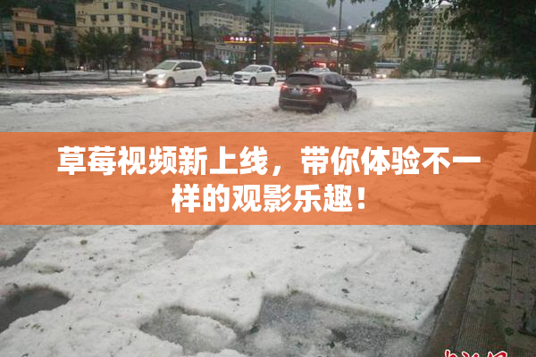 草莓视频新上线，带你体验不一样的观影乐趣！