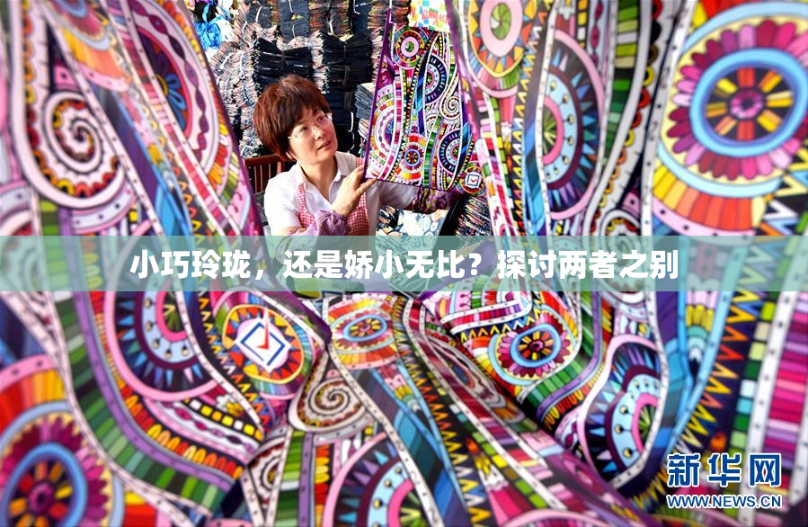 小巧玲珑，还是娇小无比？探讨两者之别