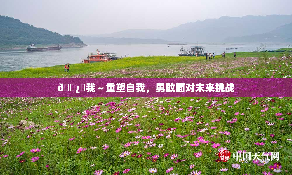 🌿‌我～重塑自我，勇敢面对未来挑战