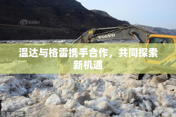 温达与格雷携手合作，共同探索新机遇