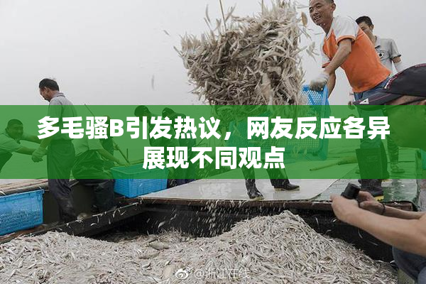 多毛骚B引发热议，网友反应各异展现不同观点