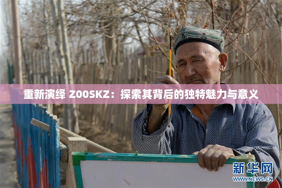 重新演绎 Z00SKZ：探索其背后的独特魅力与意义