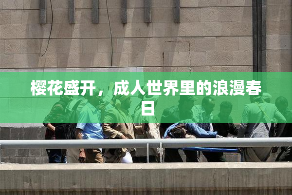 樱花盛开，成人世界里的浪漫春日