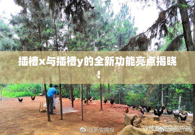插槽x与插槽y的全新功能亮点揭晓！