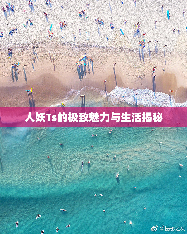 人妖Ts的极致魅力与生活揭秘
