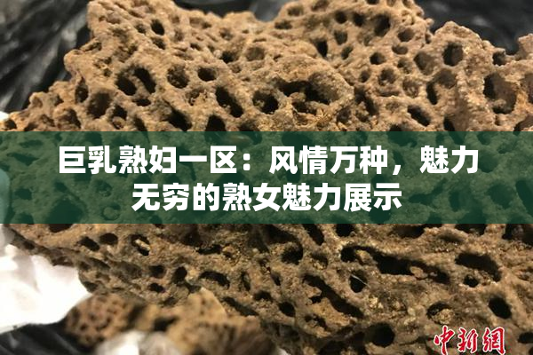 巨乳熟妇一区：风情万种，魅力无穷的熟女魅力展示