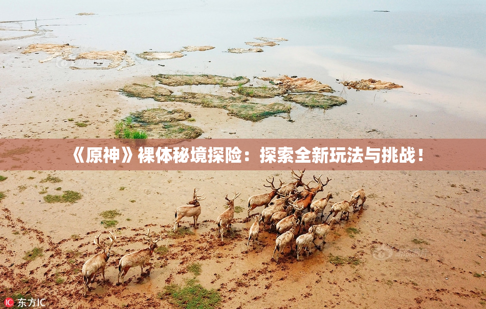 《原神》裸体秘境探险：探索全新玩法与挑战！