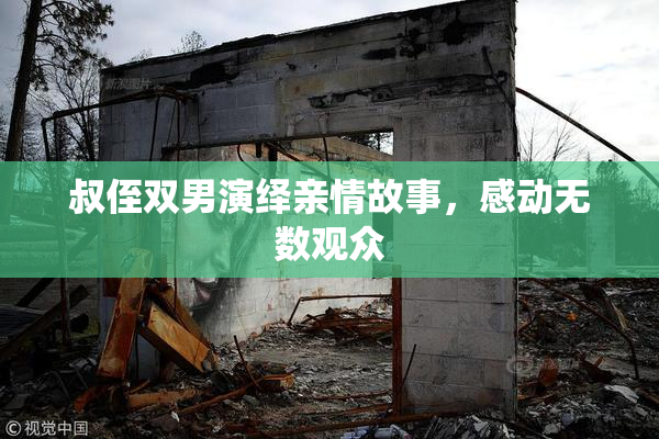 叔侄双男演绎亲情故事，感动无数观众