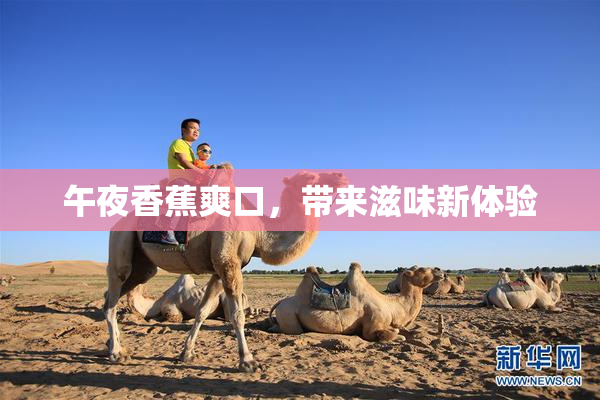 午夜香蕉爽口，带来滋味新体验