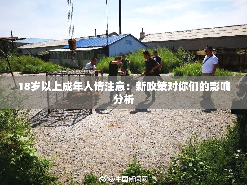 18岁以上成年人请注意：新政策对你们的影响分析