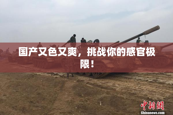 国产又色又爽，挑战你的感官极限！