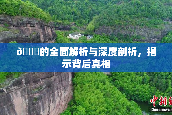 🈚的全面解析与深度剖析，揭示背后真相