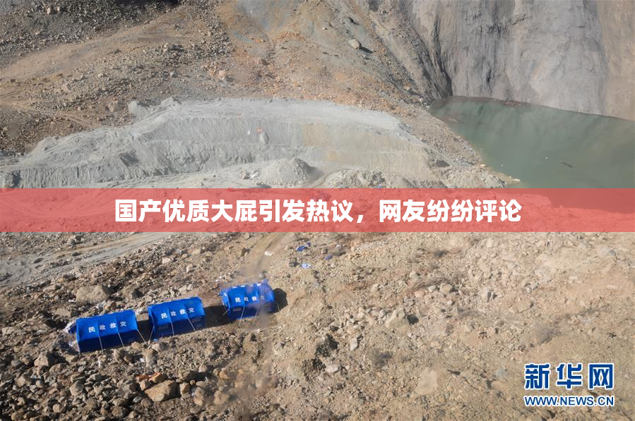 国产优质大屁引发热议，网友纷纷评论