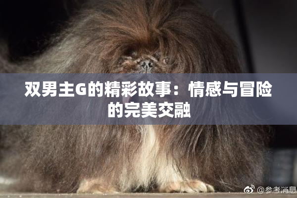 双男主G的精彩故事：情感与冒险的完美交融