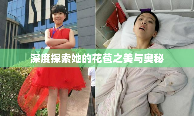 深度探索她的花苞之美与奥秘