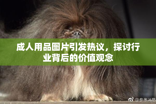 成人用品图片引发热议，探讨行业背后的价值观念