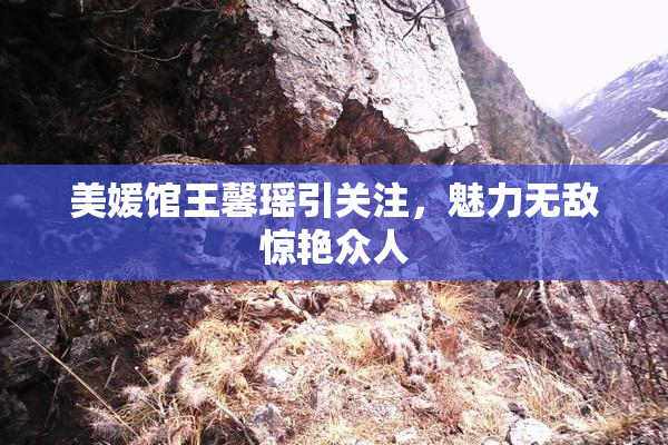 美媛馆王馨瑶引关注，魅力无敌惊艳众人