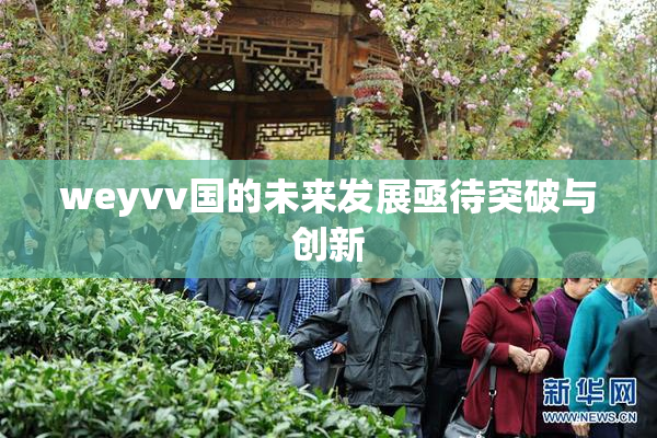 weyvv国的未来发展亟待突破与创新