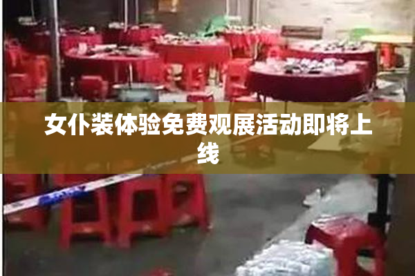 女仆装体验免费观展活动即将上线
