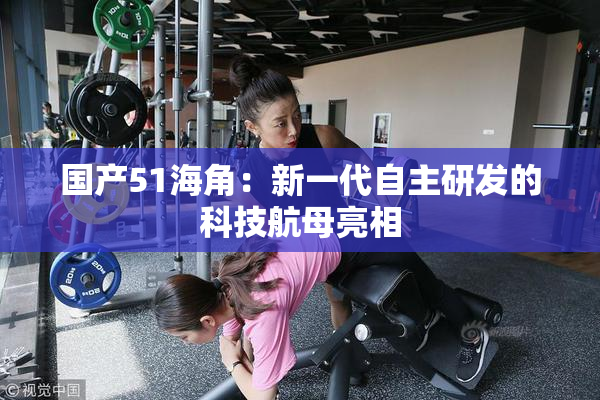国产51海角：新一代自主研发的科技航母亮相