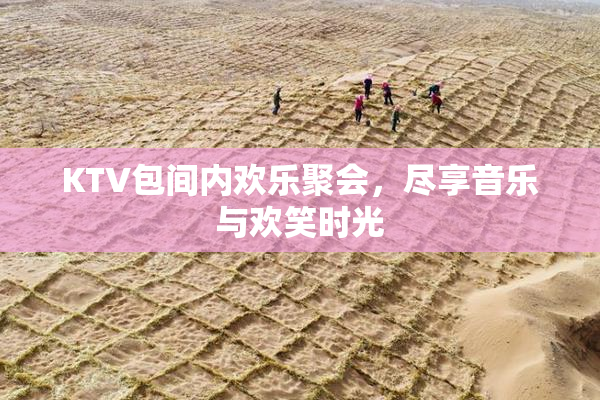 KTV包间内欢乐聚会，尽享音乐与欢笑时光