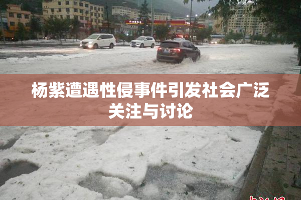 杨紫遭遇性侵事件引发社会广泛关注与讨论
