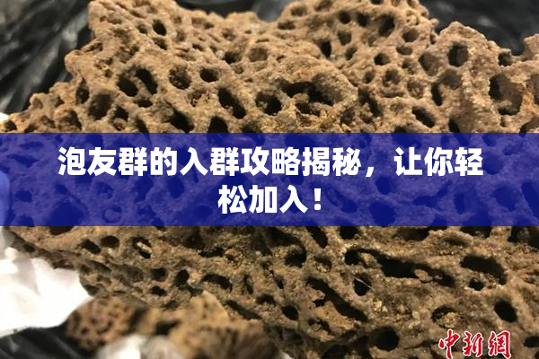泡友群的入群攻略揭秘，让你轻松加入！