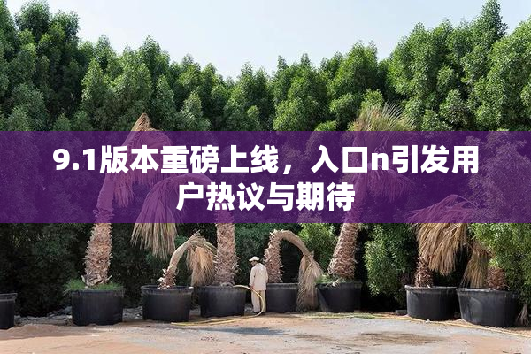 9.1版本重磅上线，入口n引发用户热议与期待