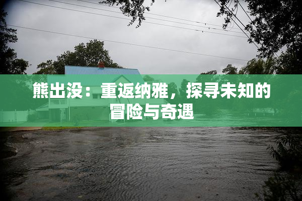 熊出没：重返纳雅，探寻未知的冒险与奇遇
