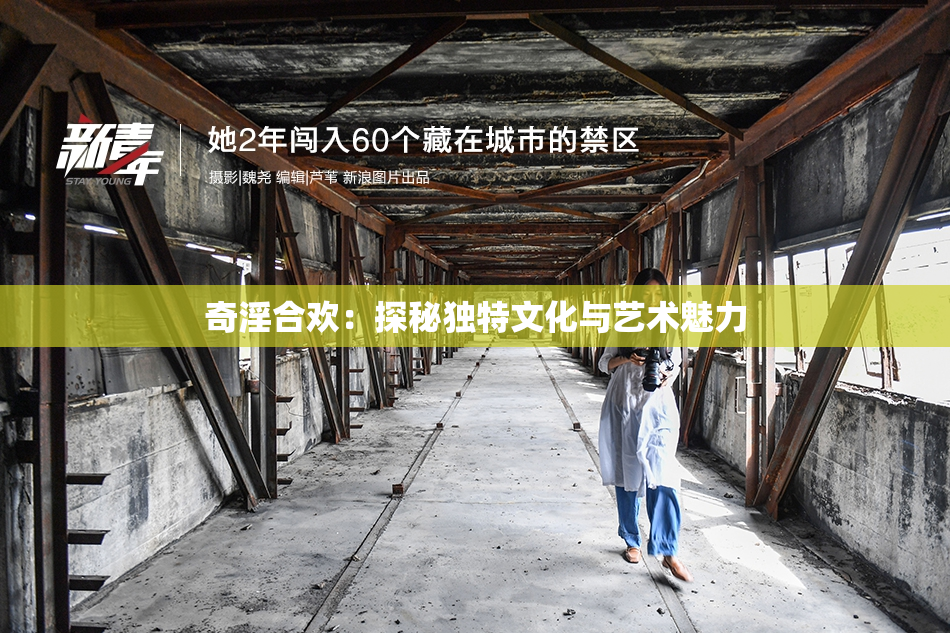 奇淫合欢：探秘独特文化与艺术魅力