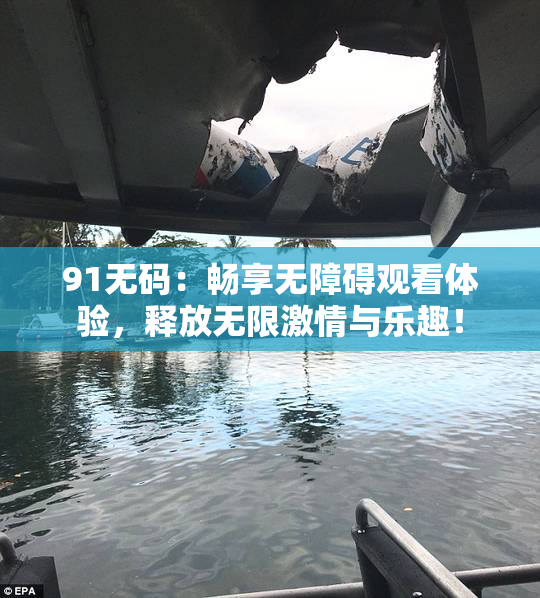 91无码：畅享无障碍观看体验，释放无限激情与乐趣！