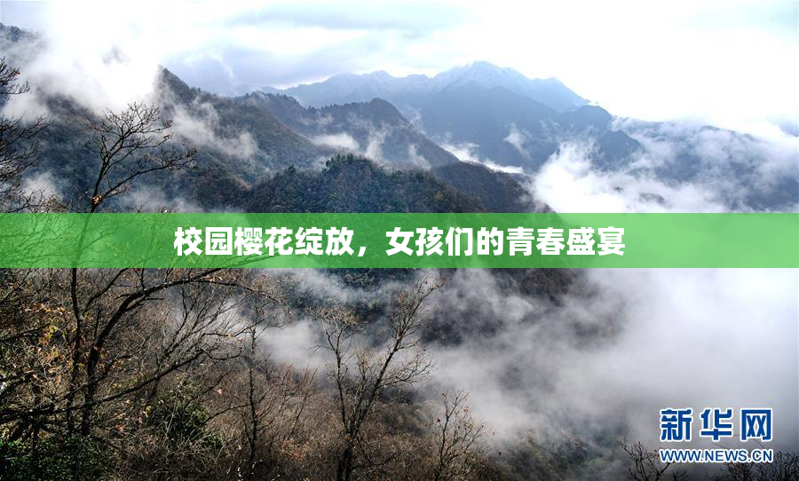 校园樱花绽放，女孩们的青春盛宴