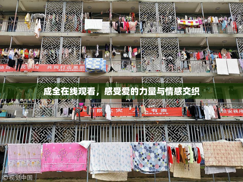 成全在线观看，感受爱的力量与情感交织