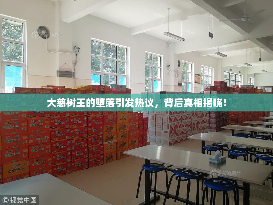 大慈树王的堕落引发热议，背后真相揭晓！