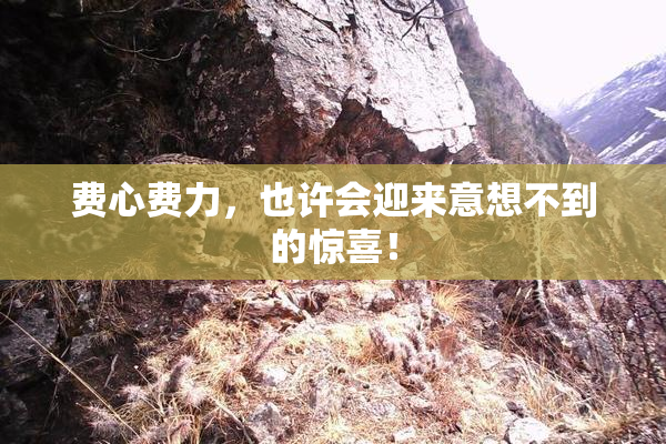费心费力，也许会迎来意想不到的惊喜！