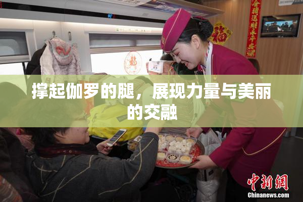 撑起伽罗的腿，展现力量与美丽的交融