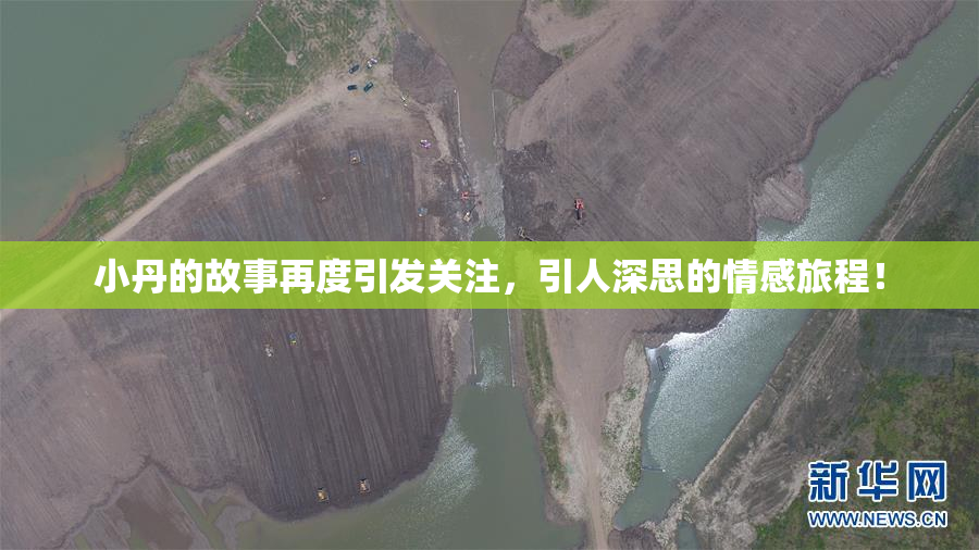 小丹的故事再度引发关注，引人深思的情感旅程！