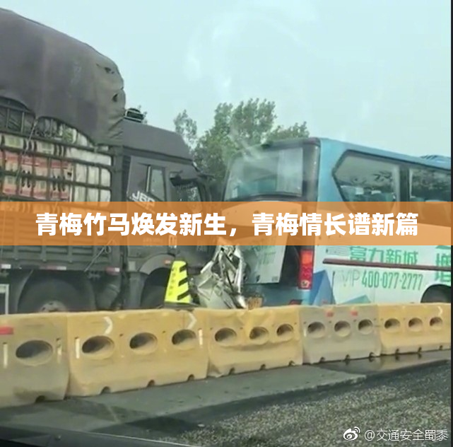 青梅竹马焕发新生，青梅情长谱新篇