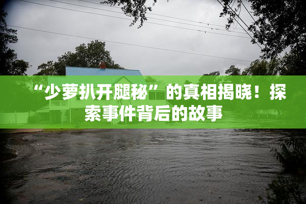 “少萝扒开腿秘”的真相揭晓！探索事件背后的故事