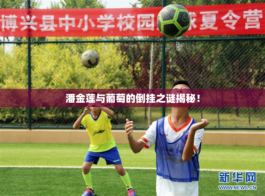 潘金莲与葡萄的倒挂之谜揭秘！