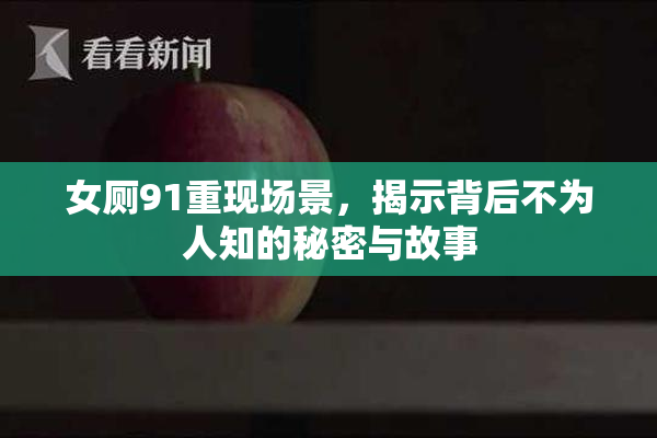 女厕91重现场景，揭示背后不为人知的秘密与故事