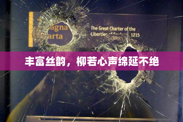 丰富丝韵，柳若心声绵延不绝