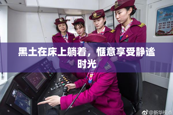 黑土在床上躺着，惬意享受静谧时光