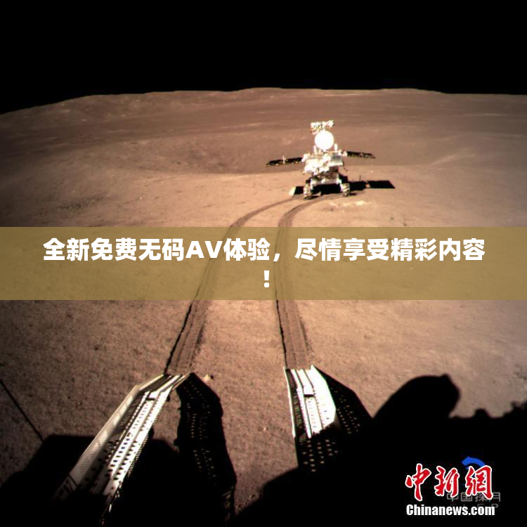 全新免费无码AV体验，尽情享受精彩内容！