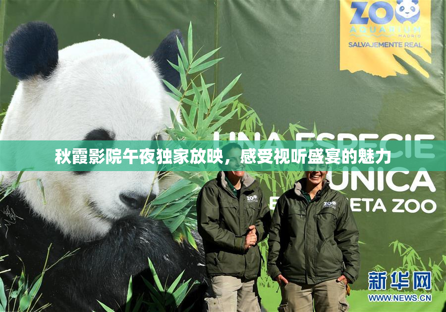 秋霞影院午夜独家放映，感受视听盛宴的魅力