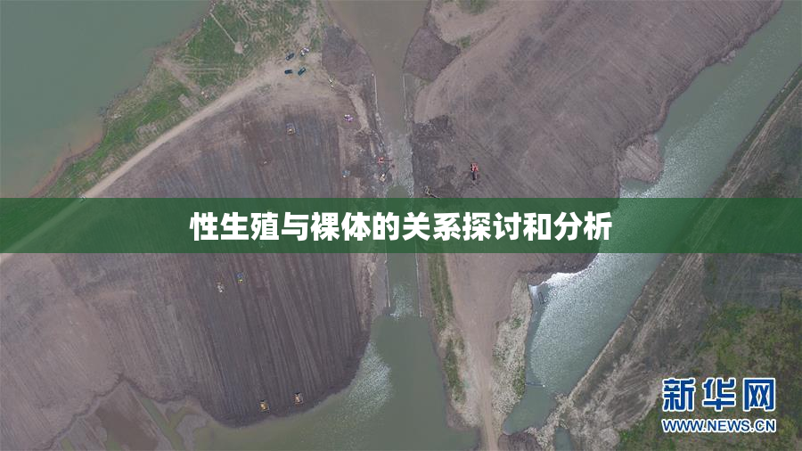 性生殖与裸体的关系探讨和分析