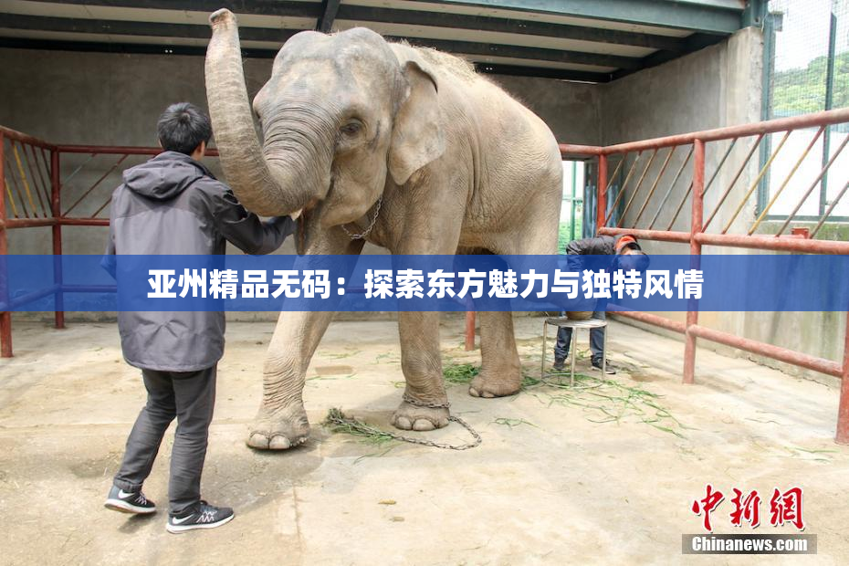 亚州精品无码：探索东方魅力与独特风情